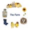 Farm objects and animals: gray fluffy hare rabbit, small yellow chick, nest with eggs, gumboots and sunflower isolated