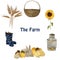 Farm objects and animals: gray fluffy hare rabbit, small yellow chick, nest with eggs, gumboots and sunflower isolated