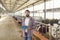 Farm owner with a clipboard in his hands standing in a long cowshed near the corral with calves.