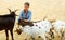 farm owner taking care of goats at sunny day