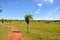Farm in Pantanal, Mato Grosso (Brazil)