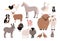 Farm pets colorful collection. Cute domestic animals set. Hand drawn vector illustration on white background.