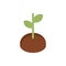 Farm plant growth harvest agriculture isometric icon