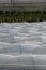 Farm plantation covered under agricultural plastic film tunnel rows, Create a greenhouse effect, Growing food