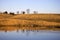 Farm Pond Ducks