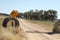 farm property cattle road crossing grid across a dry drought stricken dusty dirt road in rural New South Wales, Australia