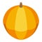 Farm pumpkin icon, isometric style