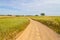 Farm road and houses in Vale Seco, Santiago do Cacem