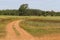 Farm road in Vale Seco, Santiago do Cacem