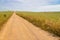 Farm road in Vale Seco, Santiago do Cacem