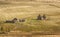 Farm ruins at Glen Deskry in Scotland.