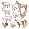 Farm rural and domestic meat animals set