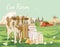 Farm rural landscape with cute cow and milk. Agriculture vector illustration. Colorful countryside. Poster with vintage farm
