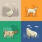Farm rural landscape with goat, sheep, cow and goose. Agriculture vector illustration. Colorful countryside.