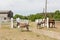 Farm scene with donkeys and horse over wooden log fence, bale of hay and barn. Countryside rural landscape