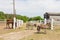 Farm scene with donkeys and horse over wooden log fence, bale of hay and barn. Countryside rural landscape