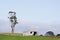 Farm shed and tree, Tasmania, Australia