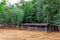 Farm shelter pasture for cloven-hoofed animals with a barn canopy.