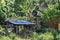 Farm shelter among tropical vegetation