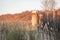 Farm Silos at Sunset