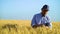Farm specialist walking in wheat field with tablet and examining crops
