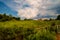 Farm Summer Dramatic Sky