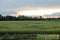 Farm Sunset with Sunflowers