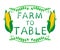 `Farm to table` words with corn. Typography elements. VECTOR vignettes on white