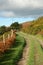 Farm Track in The Autumn