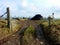 Farm track with black-wrapped silage or haylage.