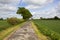 Farm track and farmland in springtime