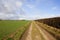 Farm track with hedgerow