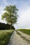 Farm track leading alongside fields