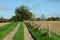 Farm track with Ploughed plowed fields either side.