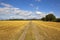 Farm track and stubble fields in summertime