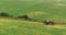 Farm Tractor Spray Autumn Crop Field. Aerial photo.