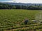 Farm tractor spraying pesticides & insecticides herbicides over green vineyard field