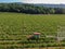 Farm tractor spraying pesticides & insecticides herbicides over green vineyard field