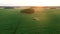 Farm Tractor Sprays Fertilizers Over Field Of Agricultural Crops Against Sunset