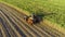 Farm Tractors working on sugar cane harvest plantation aerial view