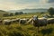 Farm tranquility, sheep grazing in unison, pastoral serenity with nature