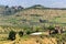 Farm in Tuscany near Artimino