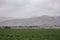 Farm and vegetable gardens and greenhouses near the dead sea