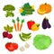 Farm vegetables isolated flat icons