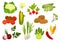 Farm vegetables isolated flat icons