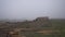 Farm in the village. Pasture in the mountains. Horses graze