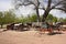 Farm Wagons and Buggys from an earier era