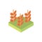 Farm wheat planting agriculture isometric icon