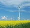 Farm of windturbines close to field