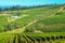 Farm winery Cape Town